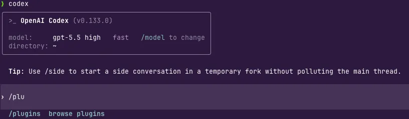 OpenAI Codex with /plu typed, suggesting the /plugins command